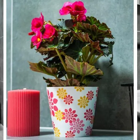 Homely Place Casa Verona - Stary Rynek - Parking דירה *